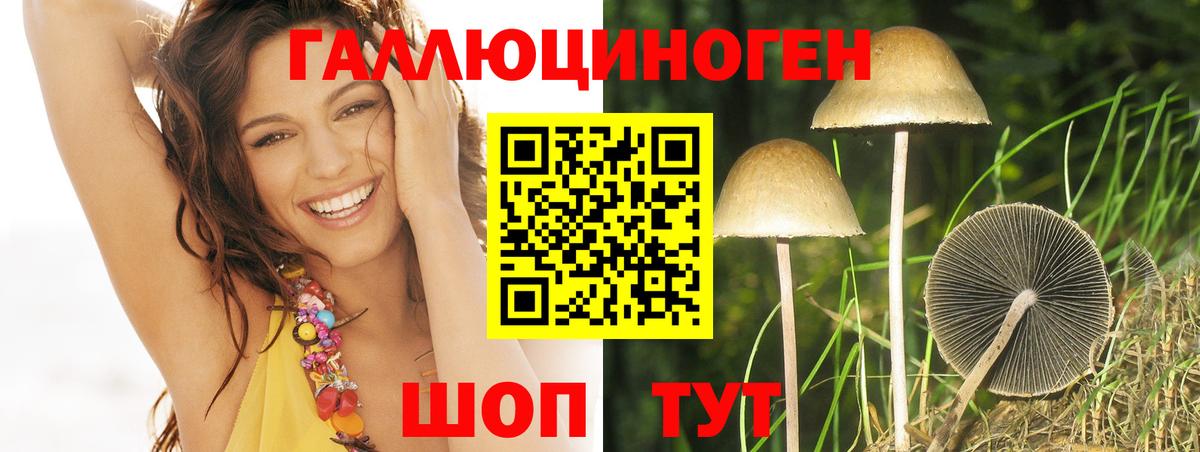 даркнет сайт  Галлюциногенные грибы мухоморы  Вход с VPN  Красноармейск 